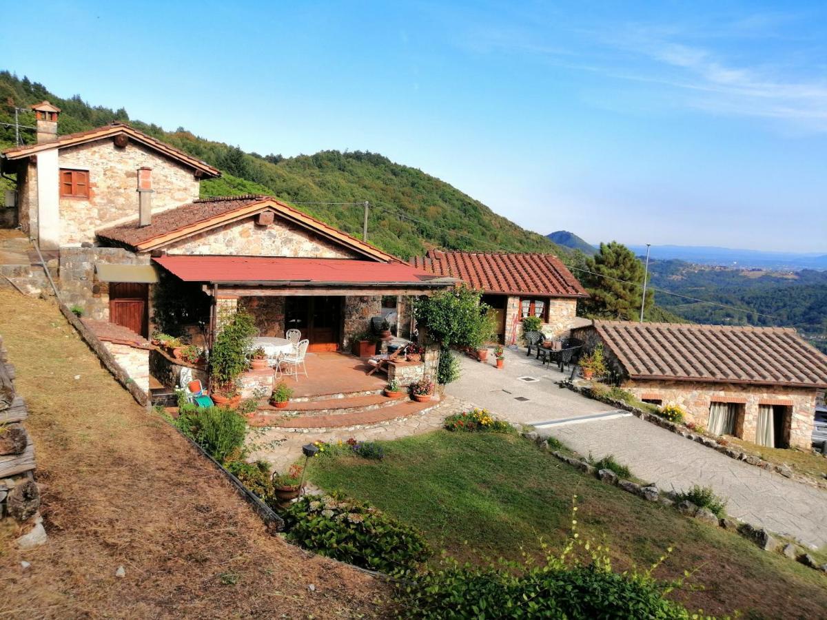 Villa Armonia Borgo a Mozzano Exterior foto